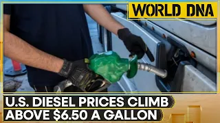 Trump Team Eyes Diesel Tax Relief As Prices Surge Past $6.50 | World DNA