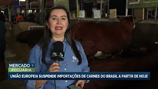 Suspensão da UE pode reduzir embarques de carnes e afetar produtores no Sul
