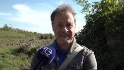 Ostia Antica: Mosaic dedicated to poet and director Pier Paolo Pasolini vandalized - Canale 10