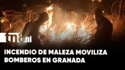 Incendio de maleza moviliza bomberos en Granada