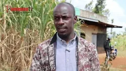 Uhaguku wa ugitiri itura-ini ria Njunu, Kiambu