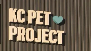 City to audit Kansas City Pet Project over 'concerning discrepancies'