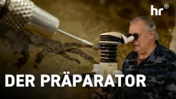 Er kratzt 47 Millionen Jahre Geschichte aus dem Stein