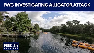 Florida woman dies after being attacked by alligator
