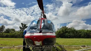 Dengue cases are rising in Florida — and Hillsborough County is seeing the biggest spike