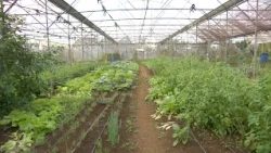 Paroles Agricoles -Technique Irrigation avec le FAREI Partie 3