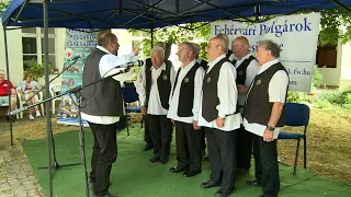 Zenélő Kultúrudvar