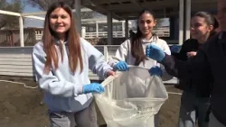 Mare d’inverno a Ladispoli: studenti e anziani puliscono il mare insieme