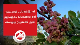 لە رۆژهەڵاتی کوردستان ئەو بەرهەمانە دەچێندرێن ئاوی کەمتریان پێویستە
