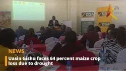 Uasin Gishu faces 64 percent maize crop loss due to drought