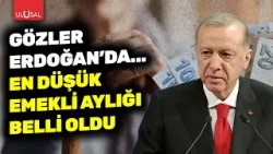 En düşük emekli maaşı ne kadar olacak? Emeklinin gözü Cumhurbaşkanı Erdoğan'da