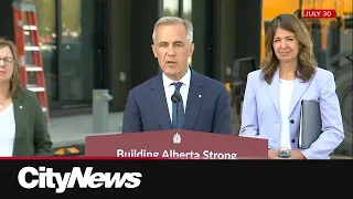 Alberta opposition leader fires back on province's tariff response