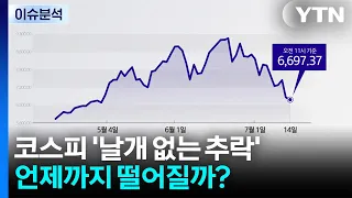 코스피 '날개 없는 추락'...언제까지 떨어질까? [뉴스나우] / YTN