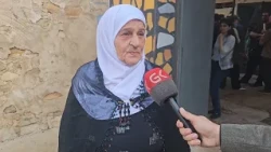 فێستیڤاڵی بەریدان لە كۆیە بەڕێوەدەچێت