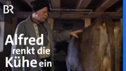 Heilwissen aus dem Allgäu: Der Einrenker Alfred Füß und seine Rinder | Zwischen Spessart & Karwendel