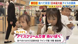 Beat the Heat! "AIPAKU" Ice Cream Expo Now Open: Over 100 Flavors from 34 Brands Gathered! Includ...