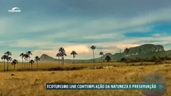 #Audiodescrição | EcoSenado mostra os impasses a respeito da Ferrogrão