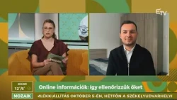 Online információk: így ellenőrizzük hitelességüket – Mozaik