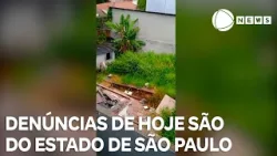Record News contra a dengue: denúncias de hoje são do estado de São Paulo