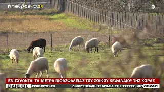 ΕΝΙΣΧΥΟΝΤΑΙ ΤΑ ΜΕΤΡΑ ΒΙΟΑΣΦΑΛΕΙΑΣ ΤΟΥ ΖΩΙΚΟΥ ΚΕΦΑΛΑΙΟΥ ΤΗΣ ΧΩΡΑΣ