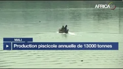 Mali : production piscicole annuelle de 13 000 tonnes