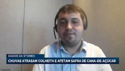 Chuvas atrasam colheita e afetam safra de cana-de-açúcar