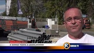 A SZÁRAZ TŰZIFA A LEGKELENDŐBB