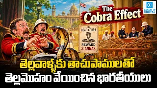 Britishers Paid Indians to Kill Cobras… Then Something SHOCKING Happened!