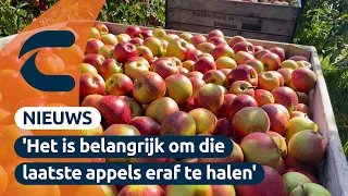 Final Harvest Day for the food bank | Connect