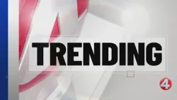 Bisons host annual spring training carnival Bisons host annual spring training carnival