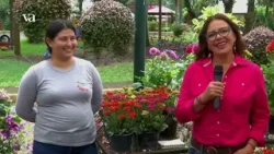 Veracruz Agropecuario - Orquídeas y Primer Simulacro Nacional Veracruz Agropecuario - Orquídeas y Primer Simulacro Nacional