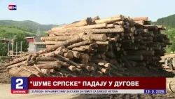 Radnici “Šuma Srpske” čekaju plate, a milioni se bacaju na informacioni sistem koji ne radi