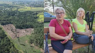 The forest is disappearing before residents' eyes. Another round of logging in Jaworzno