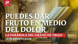 Readings and Homily - 08/10/2026 - Deacon Robert