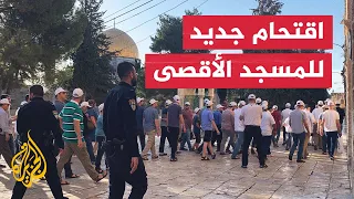 Settlers storm Al-Aqsa Mosque courtyards and perform Talmudic rituals