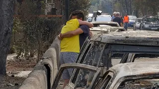La Gomera, Guadalajara, or Zamora: Other major fires in recent years