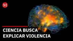 Estudio investiga diferencias cerebrales en hombres que ejercen violencia de pareja