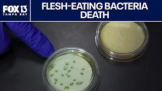 Florida resident dies from flesh-eating bacteria