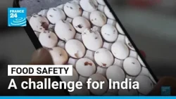 Food safety in India: A challenge for the world's most populous country • FRANCE 24 English