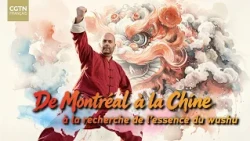 From Montreal to China: Searching for the Essence of Wushu