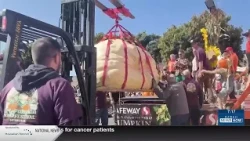 What's Trending: Pumpkin weigh-off champion
