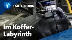 Düsseldorf: Wie die Gepäcksortierung am Flughafen funktioniert l tagesthemen mittendrin