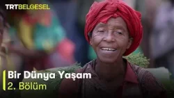 Bir Dünya Yaşam 2.Bölüm | Chamo Gölü‘nde Balıkçılık