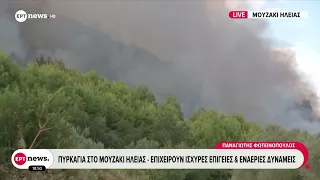 Πυρκαγιά στο Μουζάκι Ηλείας - Καίγονται δασικές εκτάσεις