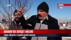 Ankara'da Dehşet Anları | Kangal Köpekleri 8 Yaşındaki Çocuğu Parçaladı Ankara'da Dehşet Anları | Kangal Köpekleri 8 Yaşındaki Çocuğu Parçaladı