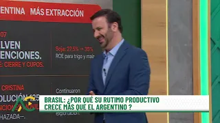 Diferencias y semejanzas productivas con Brasil - Aire de Campo