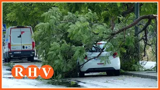 Reventó tèrmic històric a Alzira: vents de fins a 140 km/h deixen importants destrosses
