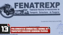 Por aumento de combustible: gremial de transporte realizará caravana pacífica