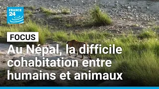 Au Népal, la difficile cohabitation entre humains et animaux sauvages • FRANCE 24
