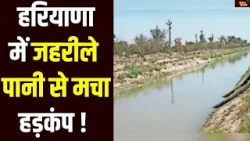 Halla Bol: Kurukshetra से Gurugram तक हाहाकार, क्या 'वॉटर सिक्योर मिशन' बचाएगा Haryana ?